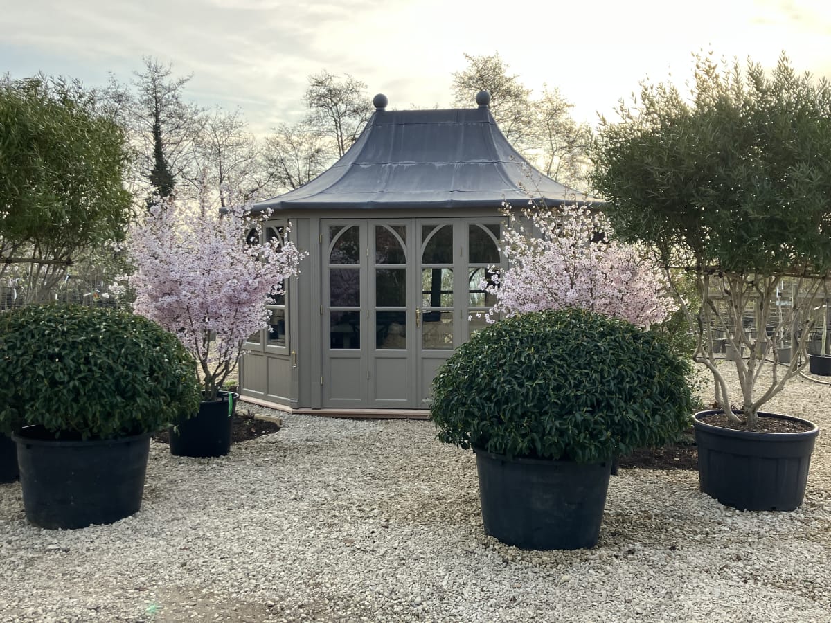 Transform Your Garden into a Productive Workspace with a Summerhouse